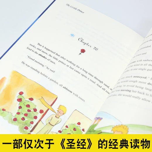 小王子（全英文版） 商品图2