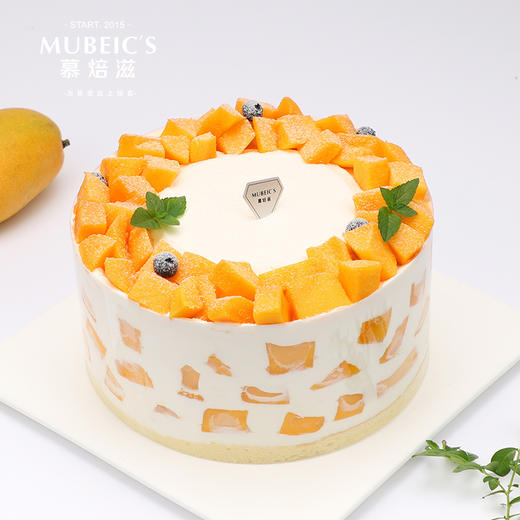 芒果雪域G09（停用） 商品图0