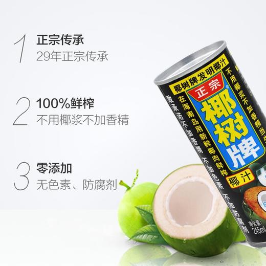 椰树牌椰汁245ml 每瓶3.75元 24瓶/箱 一箱起批 商品图1