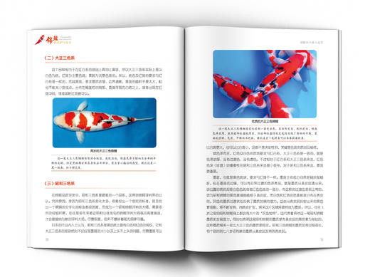 锦鲤的养护与鉴赏 商品图1