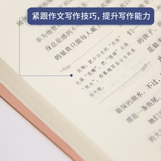 奇遇经典文库-安徒生童话 中小学生课外阅读书 10-18岁儿童文学 商品图3