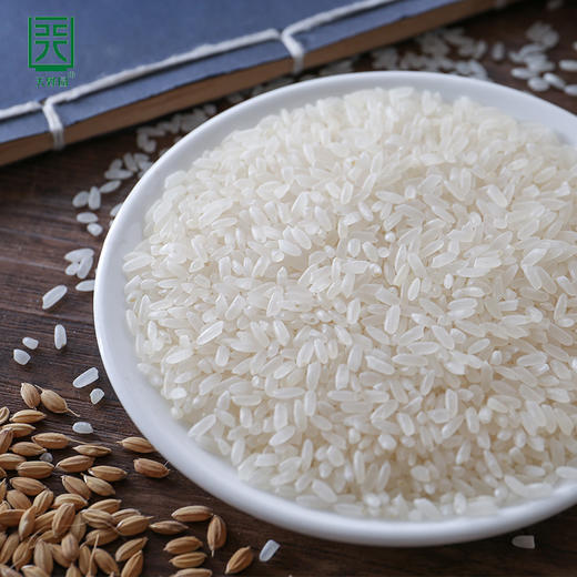 天野园·碱地特培米 5kg 白城大安 稻花香2号 2018新米上市 东北大米