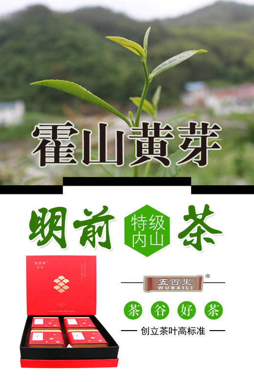 霍山黄芽(明前特级内山茶)高档礼盒装400克