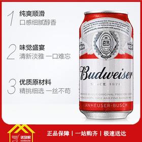 百威啤酒330ml*24罐/箱 一箱起批