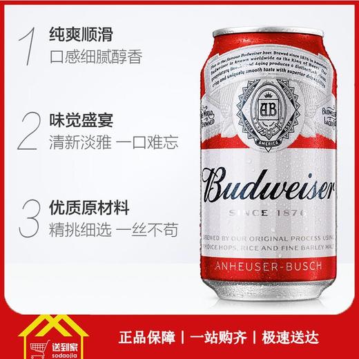 百威啤酒330ml*24罐/箱 一箱起批 商品图0