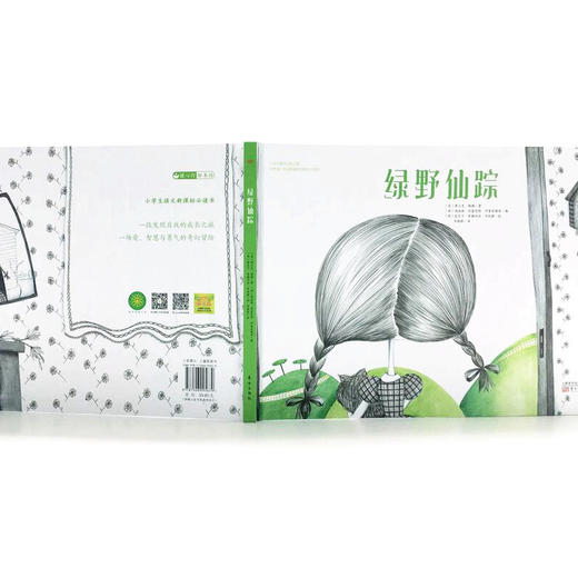 《绿野仙踪》百年经典儿童文学名著绘本，美国版《西游记》，小学生语文新课标必读书，关于爱、智慧与勇气，培养孩子艺术气质。儿童文学作家任小霞导读，赠4张可装裱画、爱绘本Lucy配音（暖心灯童书馆出品） 商品图1