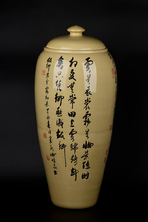 谢恒覆色填泥元阳多依树田 商品图1