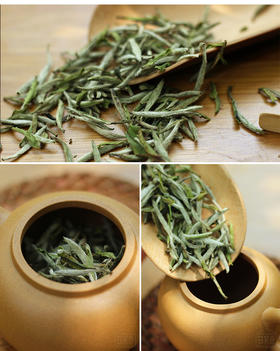 [第35期]2014年匠心白毫银针（福鼎白茶 | 醇和中正）