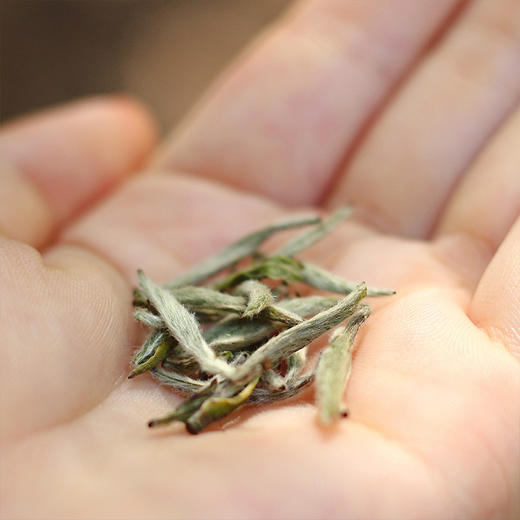 [第25期]2017年匠心白毫银针（福鼎白茶 | 恰到好处） 商品图0