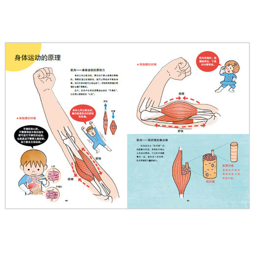不可思议的身体大冒险 商品图2