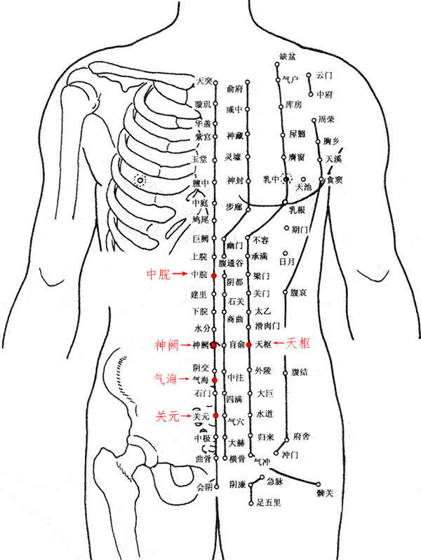 腹部6条经络图 图解图片