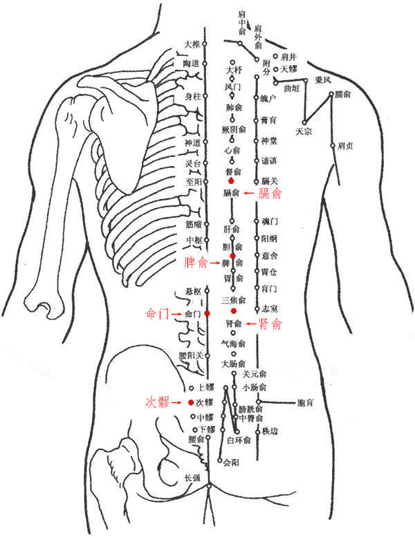 带脉经络图位置图图片