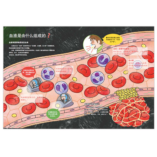 不可思议的身体大冒险 商品图1
