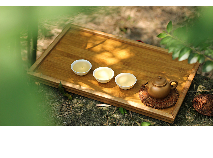 茶知识——福鼎白茶一起来分享