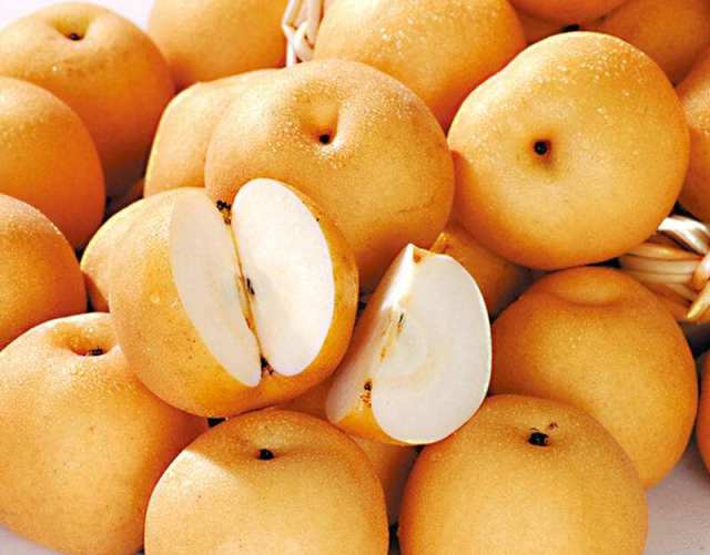 山东特产丰水梨5斤58个普箱新鲜水果产地直发