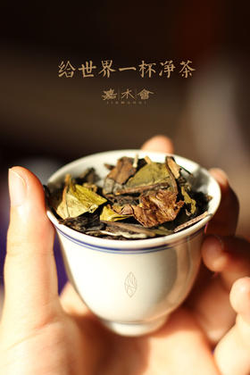 如果有这些问题，再老的白茶也是草