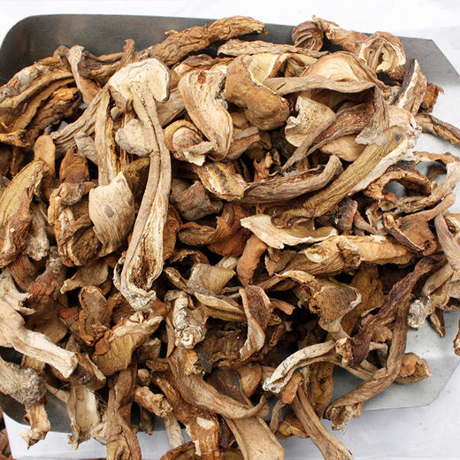 海伶山珍农家土特产品野生菌美味白牛肝菌干货食材150g