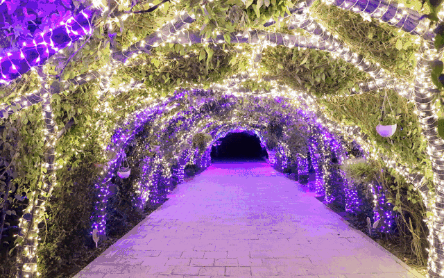 2018国际庄森林萤火虫梦幻灯光节十大主题特色八个活动项目嗨爆一夏