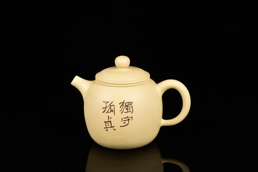 向进兴  花鸟壶 商品图3