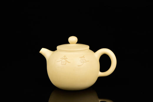 向进兴  花鸟壶 商品图3