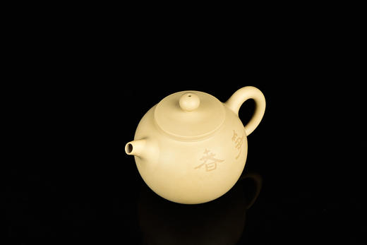 向进兴  花鸟壶 商品图2