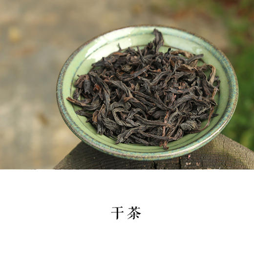 悟源涧老枞水仙武夷岩茶正岩中足火木质香2017年3泡装