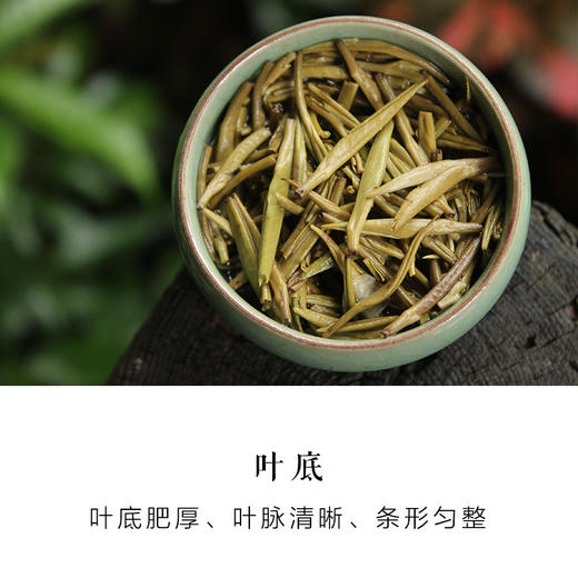匠心针王 福州茉莉花茶 | 九窨一提鲜灵 | 75克 商品图2