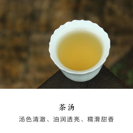 匠心针王 福州茉莉花茶 | 九窨一提鲜灵 | 75克 商品图3