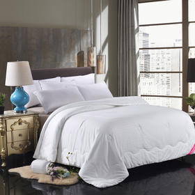 PLAYBOY | 柏妮丝蚕丝冬被