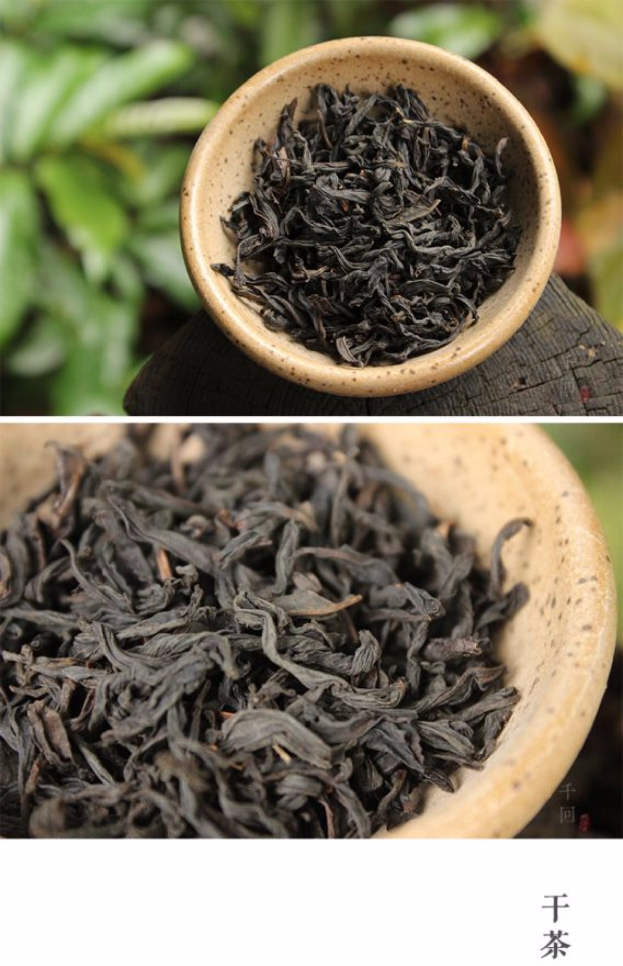 麻粟烟熏小种武夷山桐木关桂圆香私房正山红茶叶60克