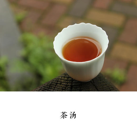 悟源涧老枞水仙武夷岩茶正岩中足火木质香2017年3泡装