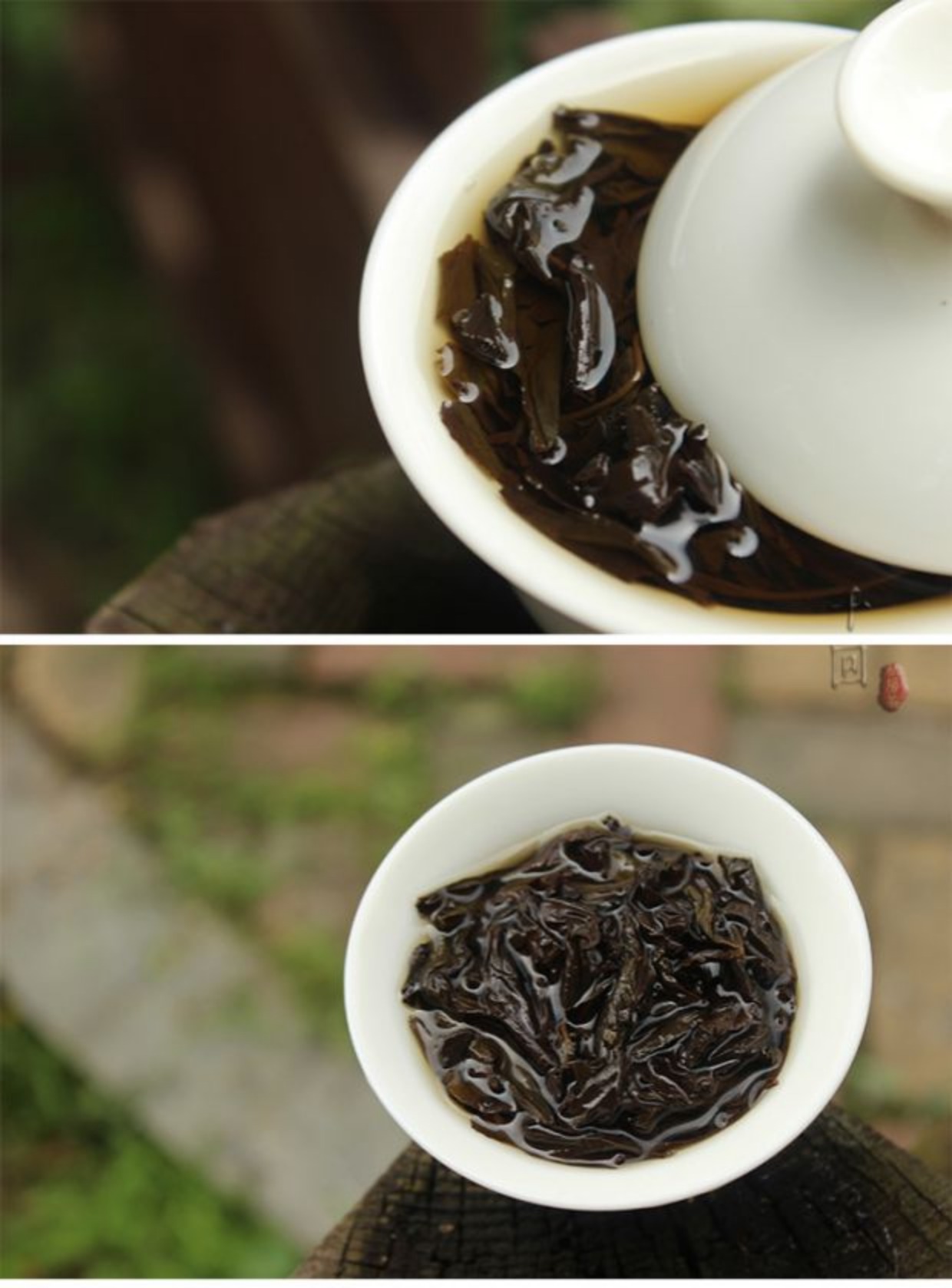 九龙窠石乳武夷岩茶正岩中火乳香珍稀名枞2020年嘉木会督造