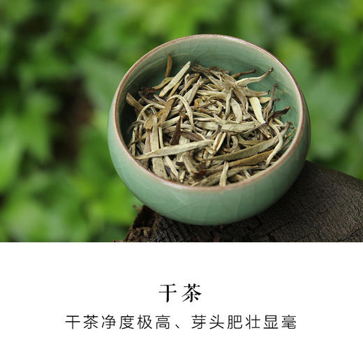 匠心针王 福州茉莉花茶 | 九窨一提鲜灵 | 75克 商品图1