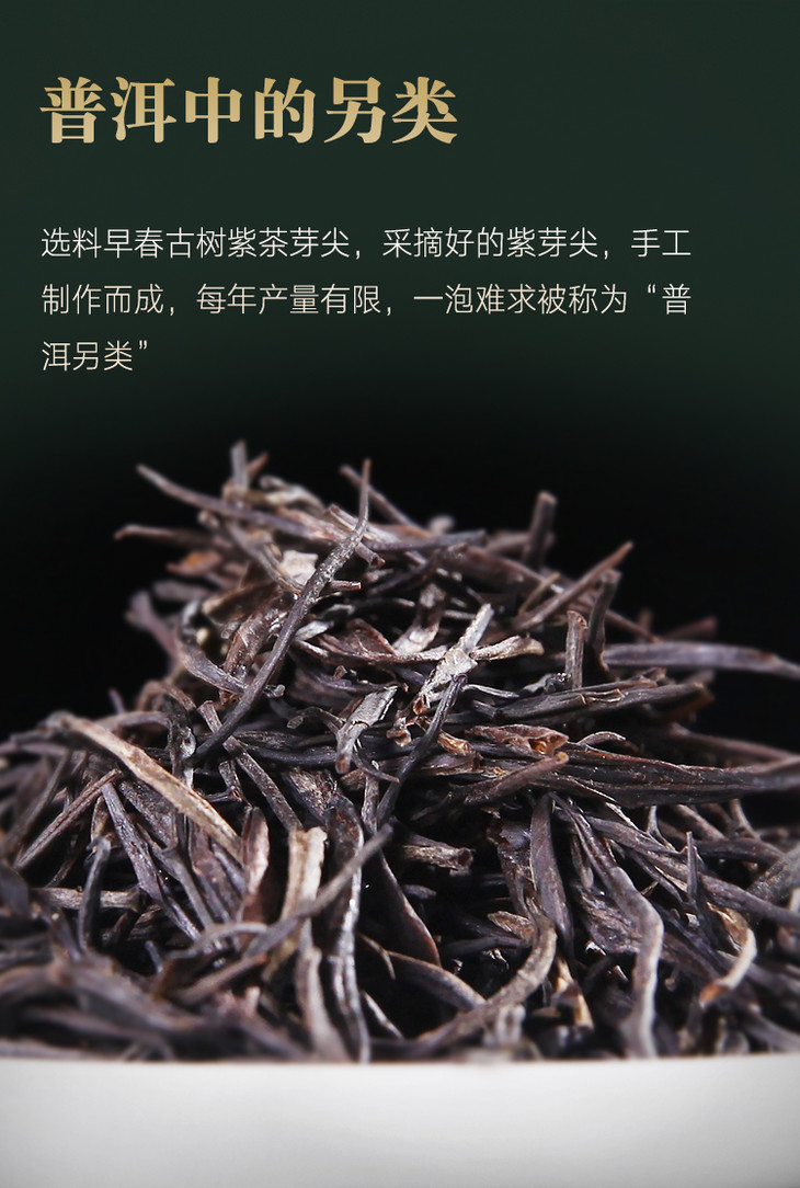 吉顺号普洱茶紫芽茶春茶紫芽春尖普洱生茶散茶150g罐