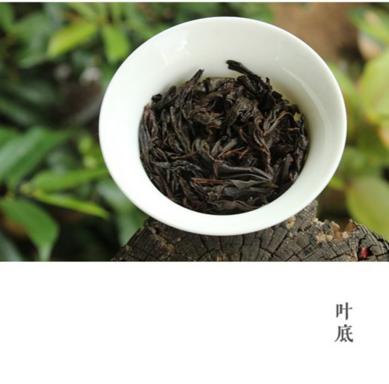丹桂武夷岩茶正岩莲花峰名丛中火花香私房茶48克2018年