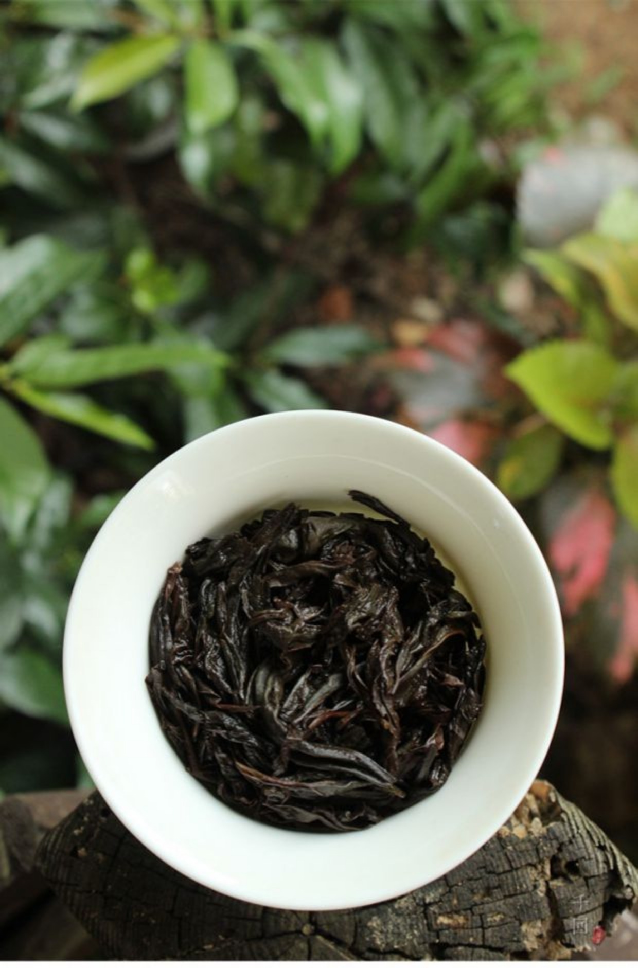 丹桂武夷岩茶正岩莲花峰名丛中火花香私房茶48克2018年