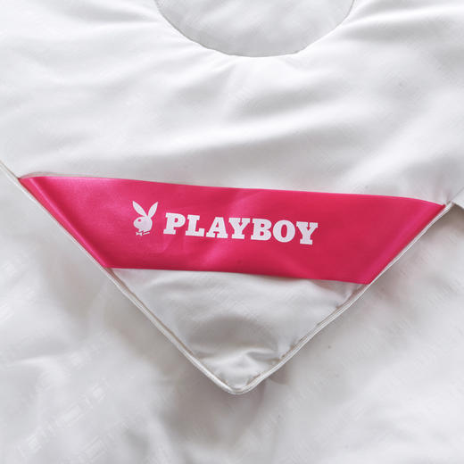 PLAYBOY | 柏妮丝蚕丝冬被 商品图4