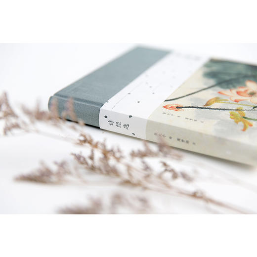 宋诗选+声律启蒙+诗经选+山水田园+楚辞选  中国国家地理  国学基础读物 中信书店正版畅销书排行榜 商品图2