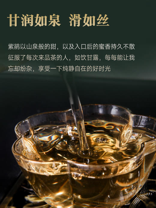 2024年春茶 吉顺号紫鹃春茶散茶叶紫芽紫叶250g/盒 商品图5
