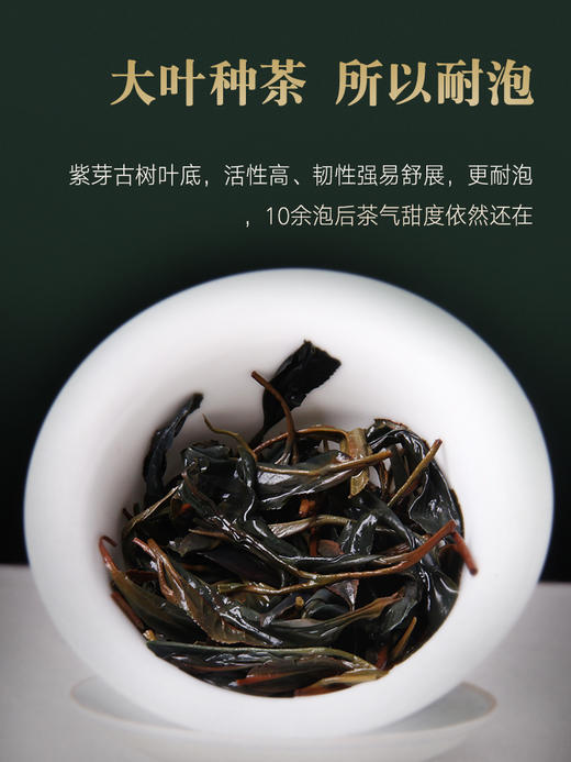 2024年春茶 吉顺号紫鹃春茶散茶叶紫芽紫叶250g/盒 商品图6