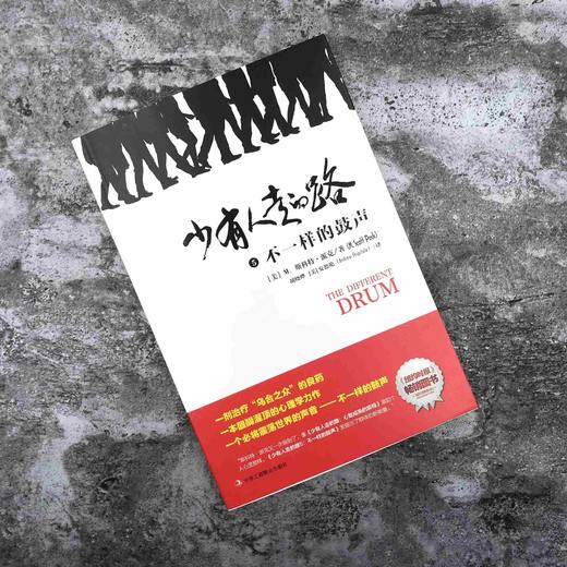 《少有人走的路5：不一样的鼓声》 商品图5