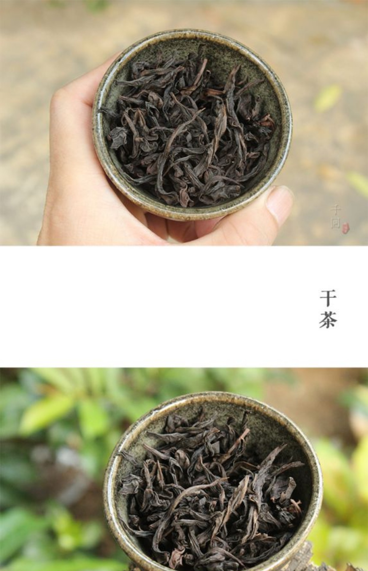 丹桂武夷岩茶正岩莲花峰名丛中火花香私房茶48克2018年