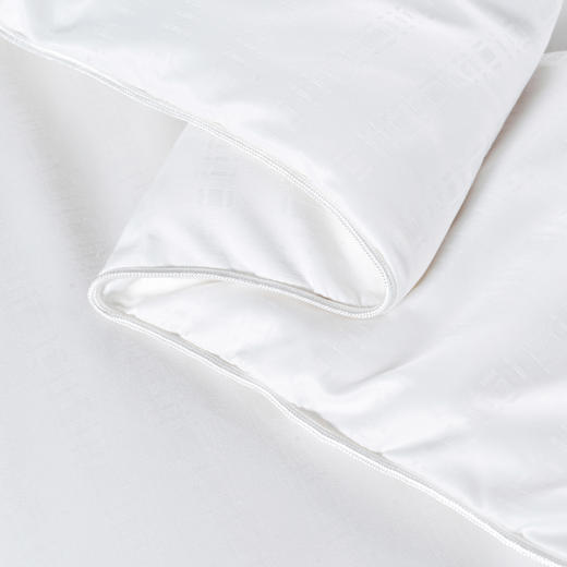 PLAYBOY | 柏妮丝蚕丝冬被 商品图3