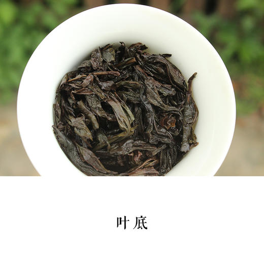 悟源涧老枞水仙武夷岩茶正岩中足火木质香2017年3泡装