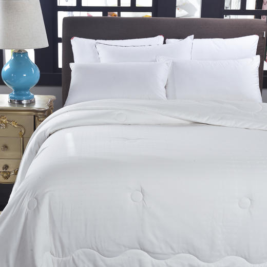 PLAYBOY | 柏妮丝蚕丝冬被 商品图1