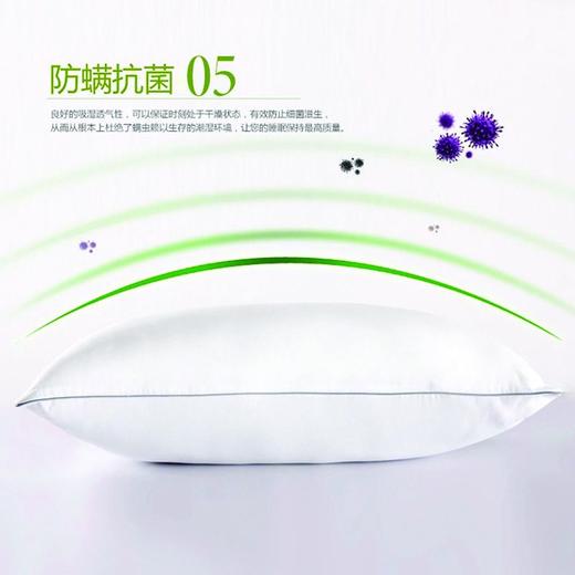 PLAYBOY |  舒心对枕 商品图3