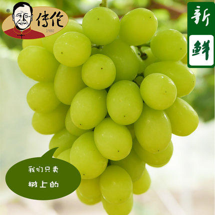 至尊超级女皇+网红阳光玫瑰8斤装—传伦精品葡萄现摘现发 商品图1