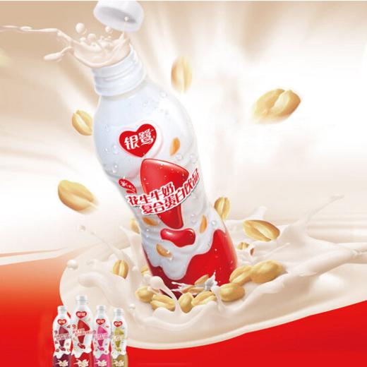 银鹭花生牛奶450ml瓶