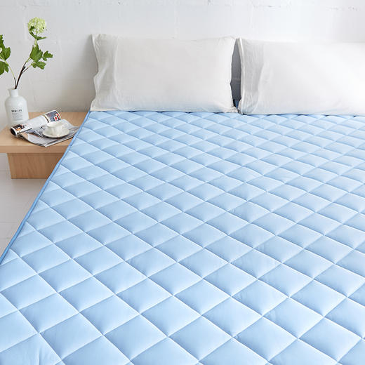 出口优品俏居家纺日式凉感床垫床褥冷感轻薄柔软舒适