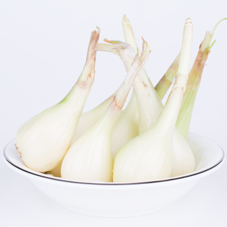 德江 新鲜藠头现挖现发 5斤装【贵州省内包邮】